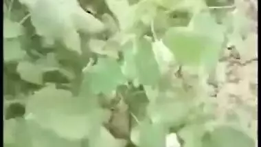 Couple from the village is caught having sex in the bush, desi XXX mms